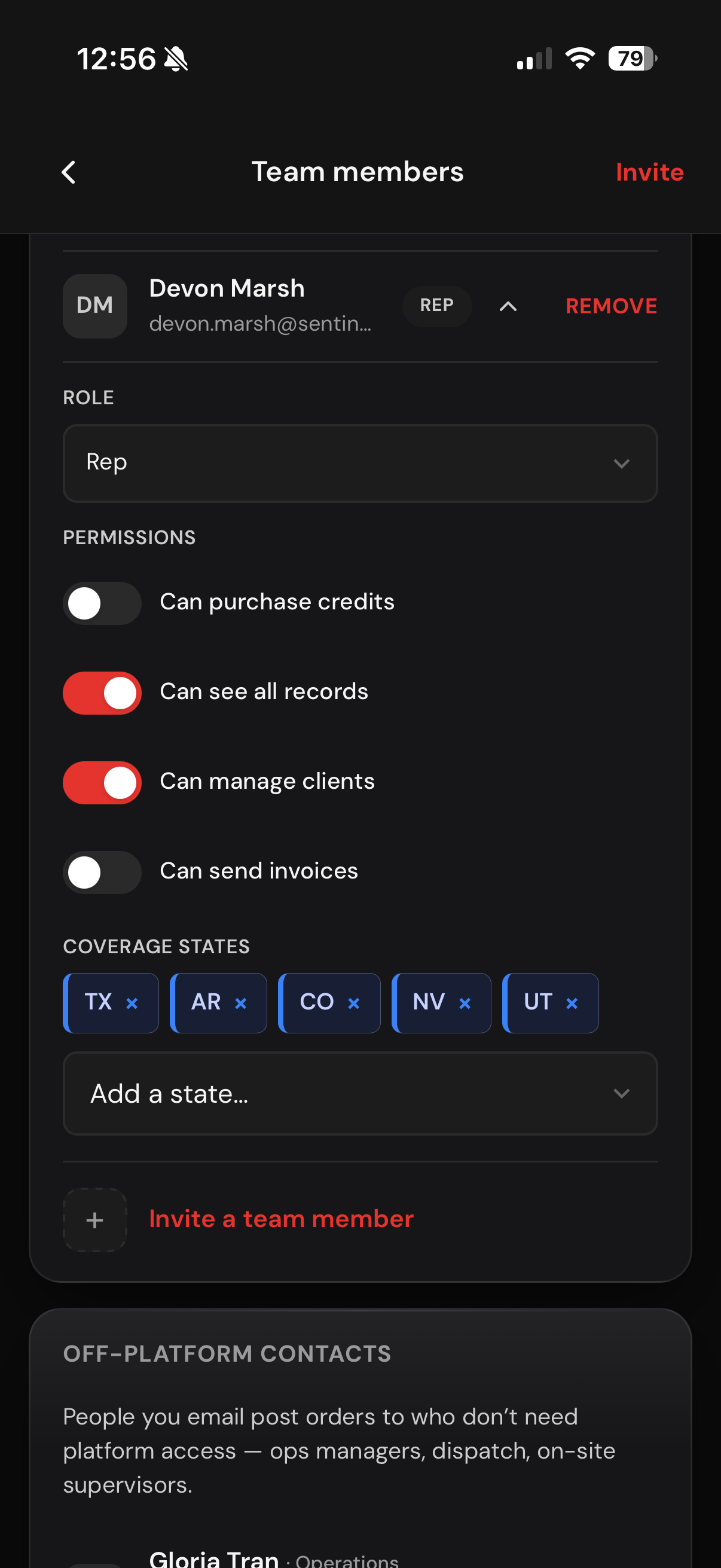 Team member permissions